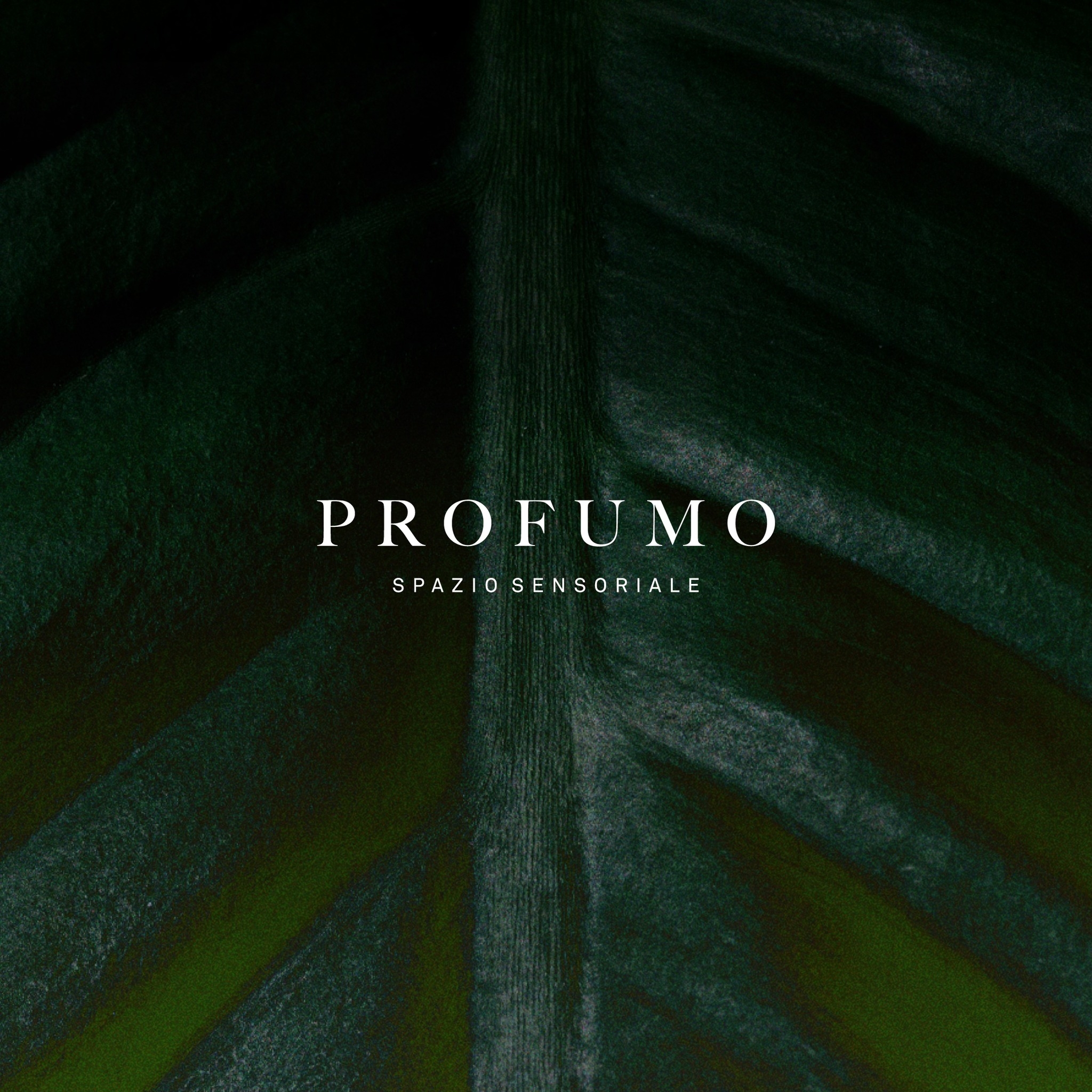 Profumo