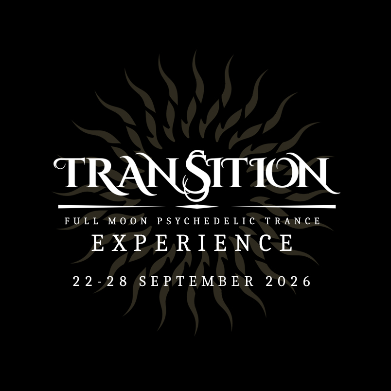 Transition Experience