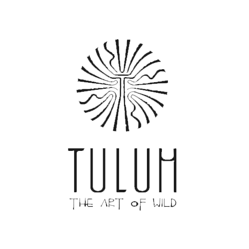 Tulum Valencia Art of Wild