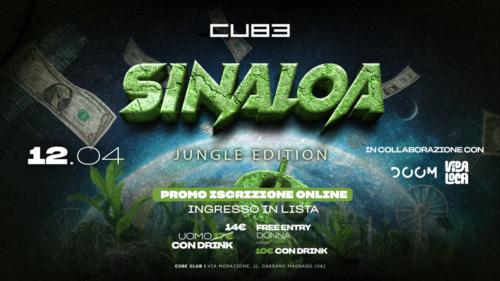Locandina SINALOA