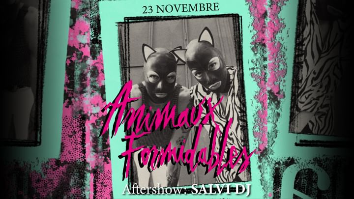 Cover for event: 23.11.24 - ANIMAUX FORMIDABLES Live + Salvi DjSet