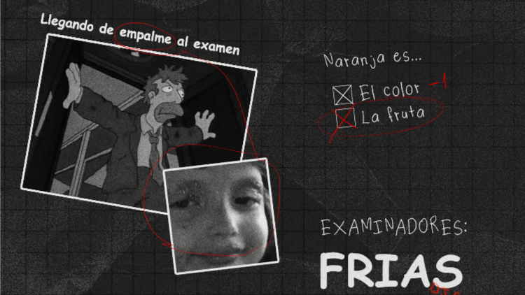 4,04 Not Studied Exam image