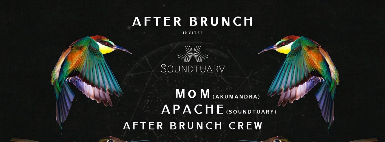 After Brunch x Soundtuary @Perrachica Exclusive Party image