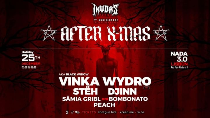 Cover for event: AFTER X MAS with VINKA WYDRO & STEH