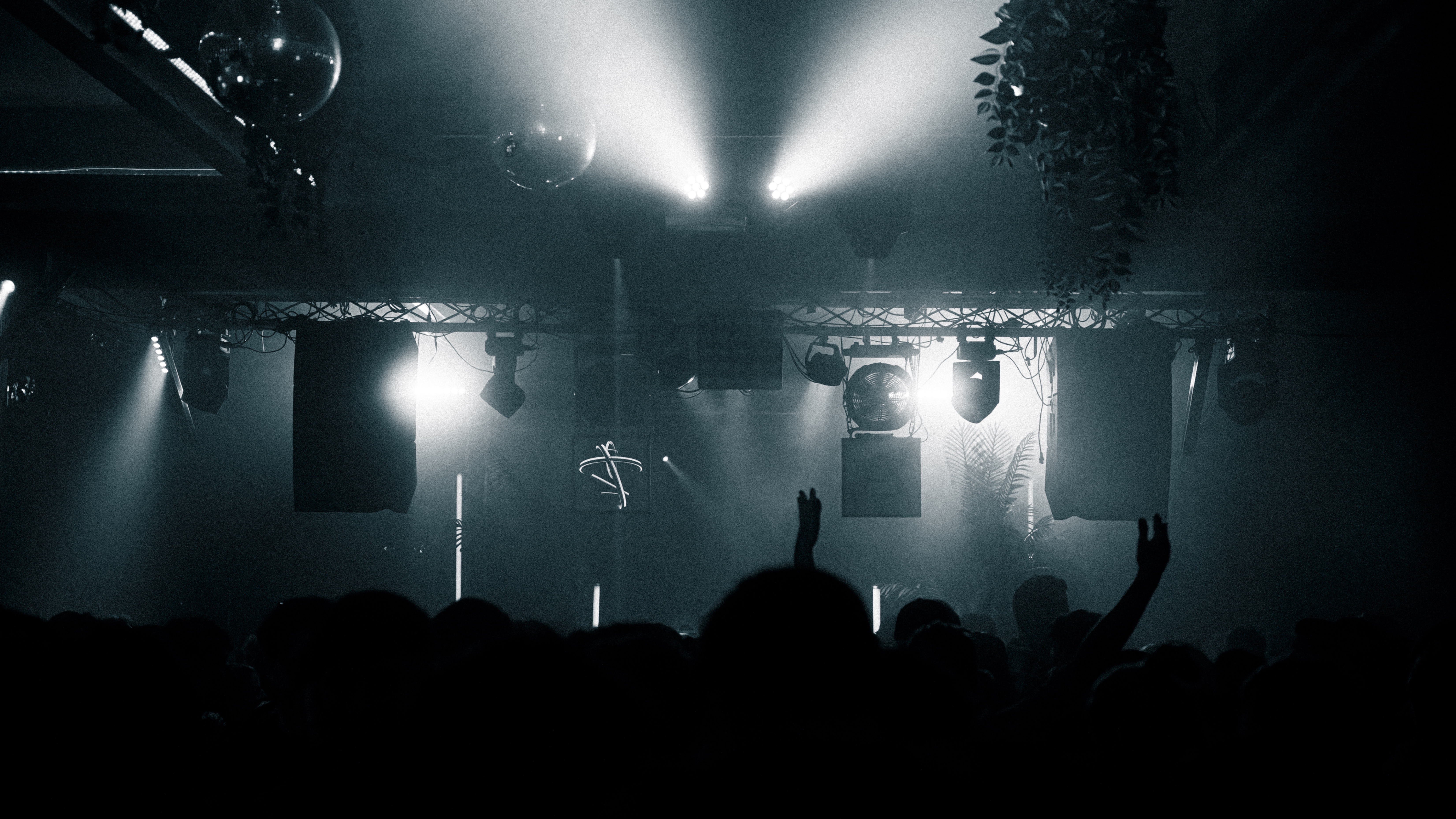 Alegria X-MAS at Nikki Tiger image