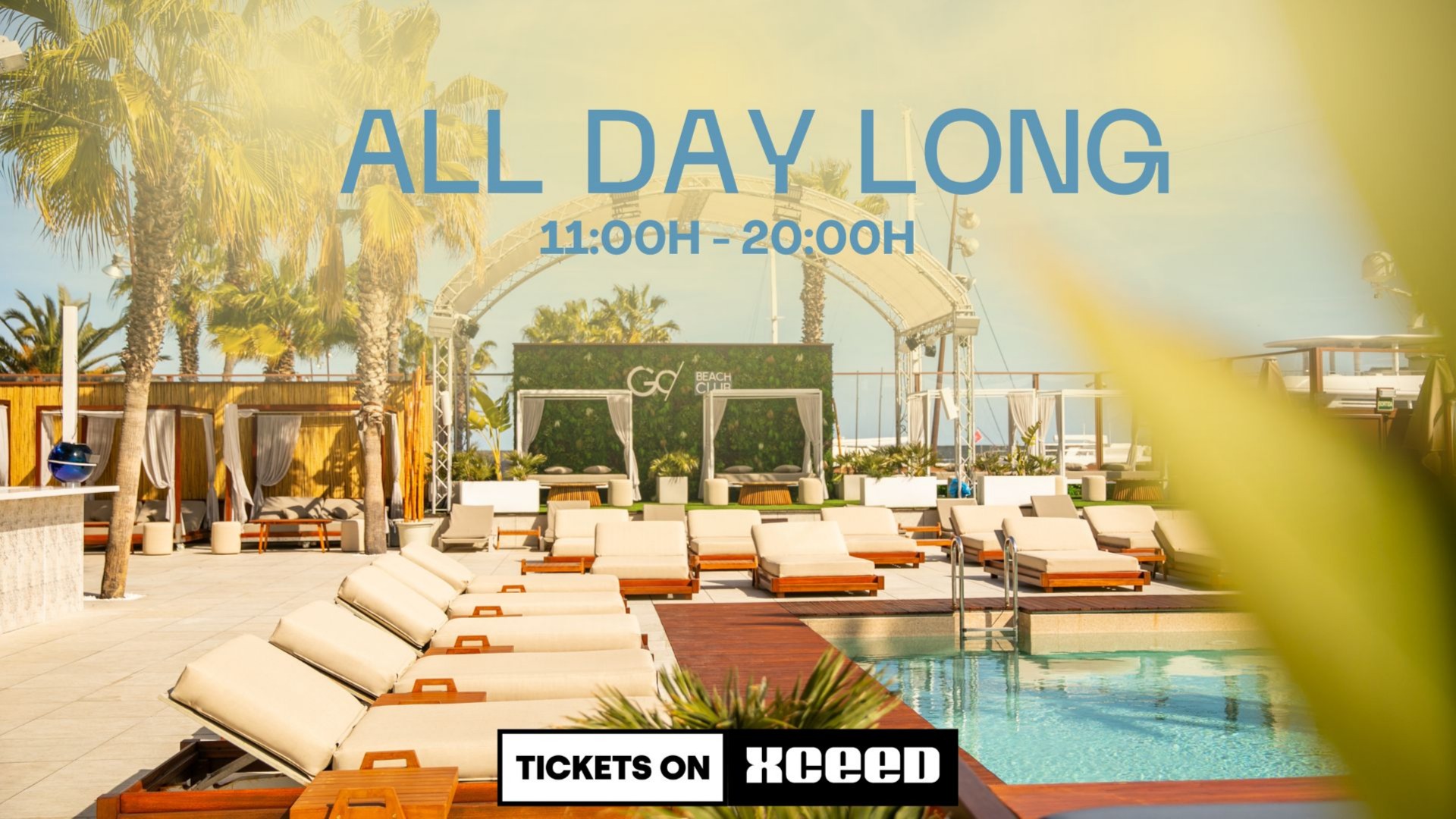 ALL DAY LONG | from 11:00am to 20:00pm 