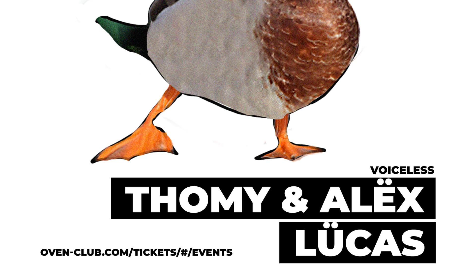 ALOQUE: THOMY & ALËX (VOICELESS) + LÜCAS image