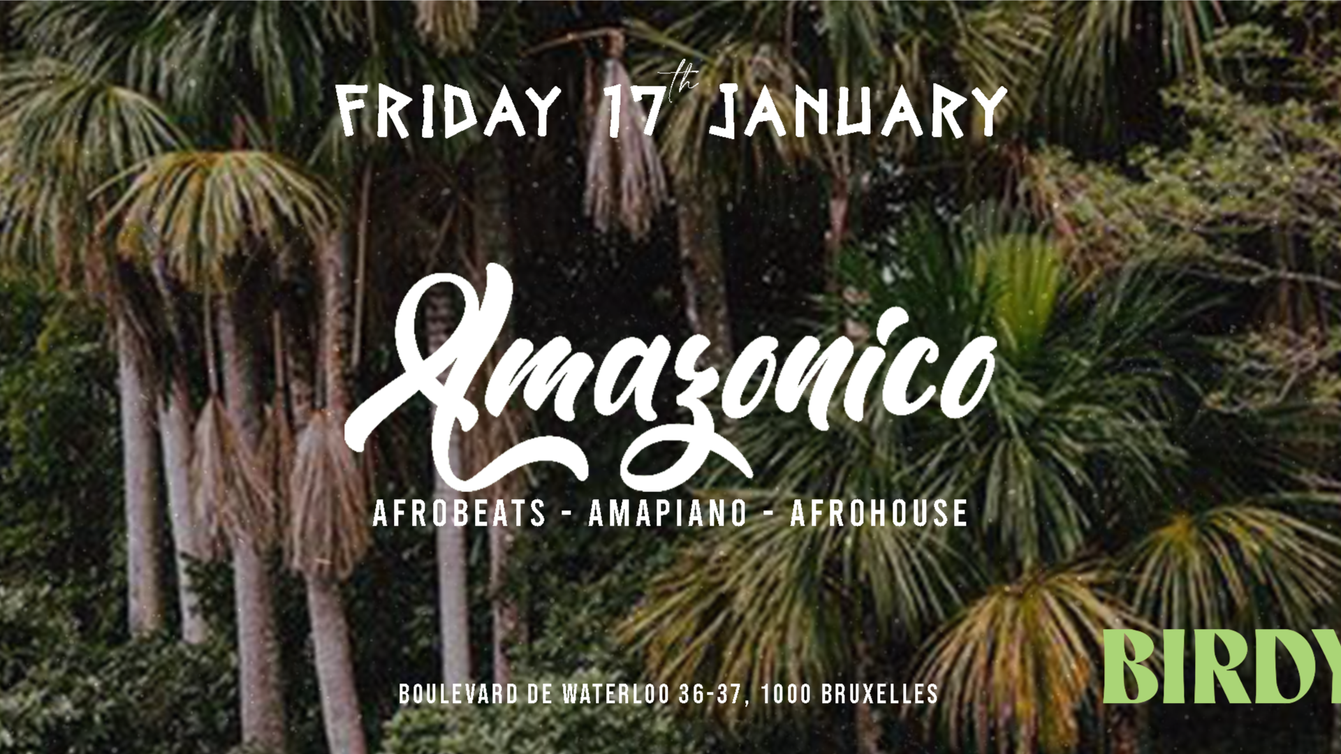 AMAZONICO • FRI. 17 JANUARY