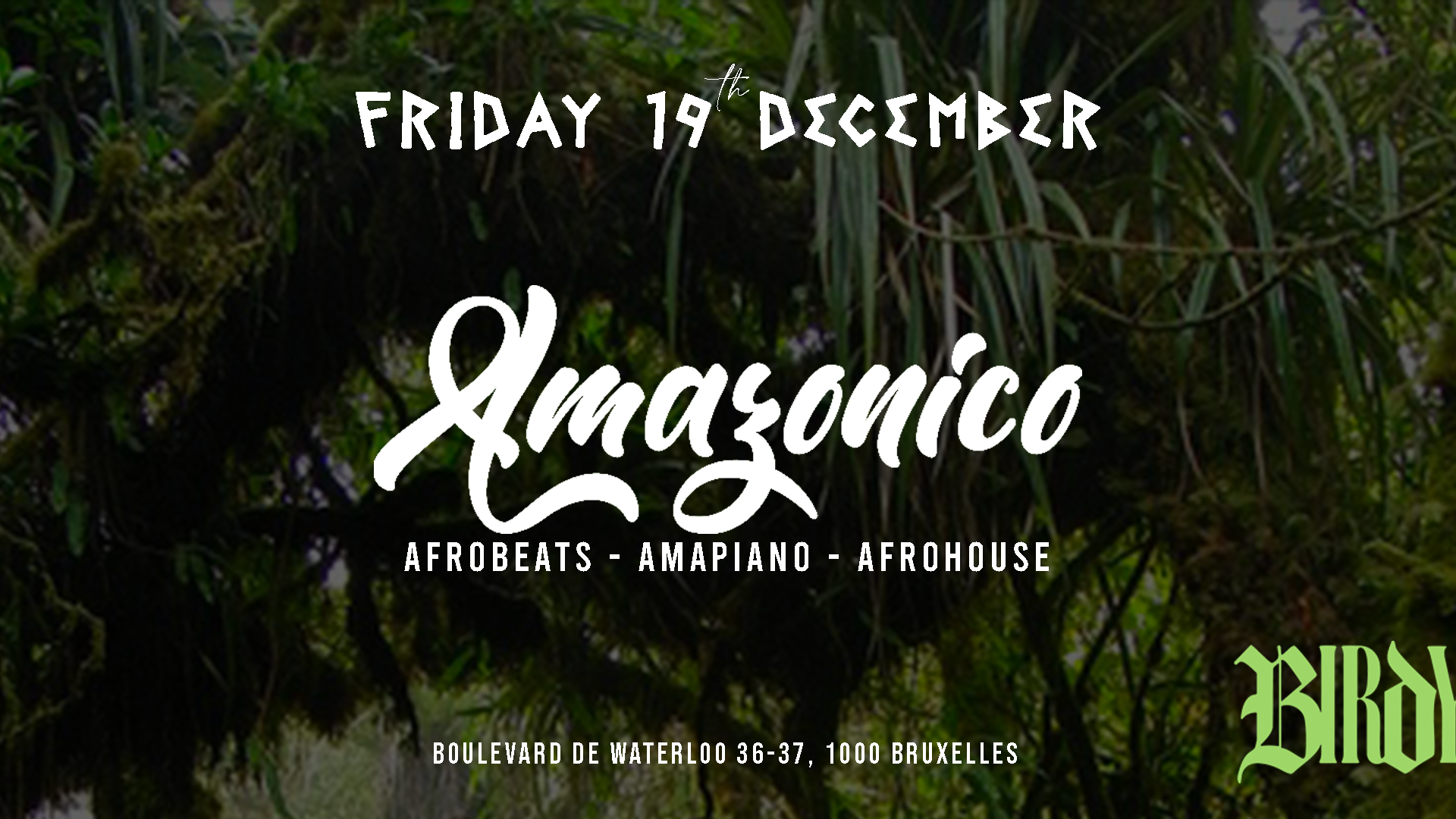 AMAZONICO • FRI. 19 DECEMBER image