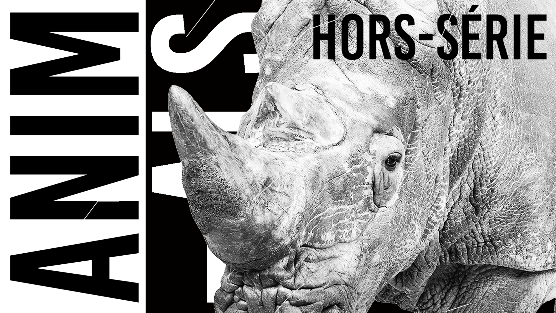 ANIMALS : HORS SÉRIE image