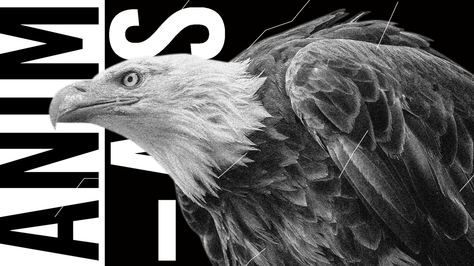 Animals ◊ House to techno Vol.10 image