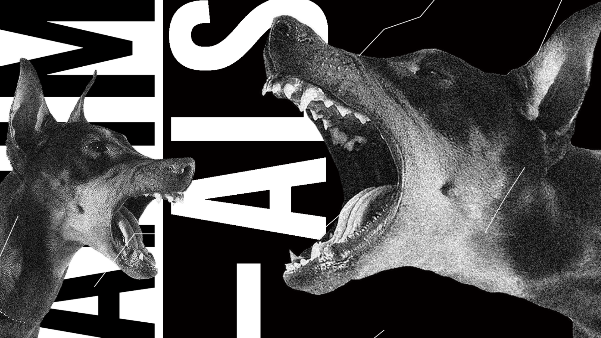 Animals ◊ House to techno Vol.11 image