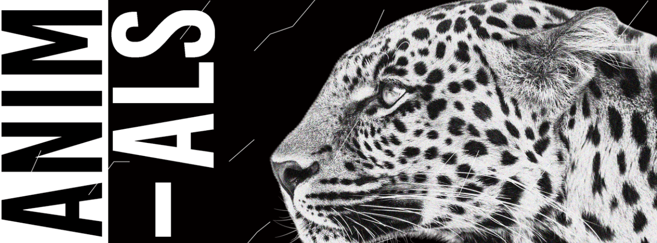 Animals ◊ House to techno Vol.8