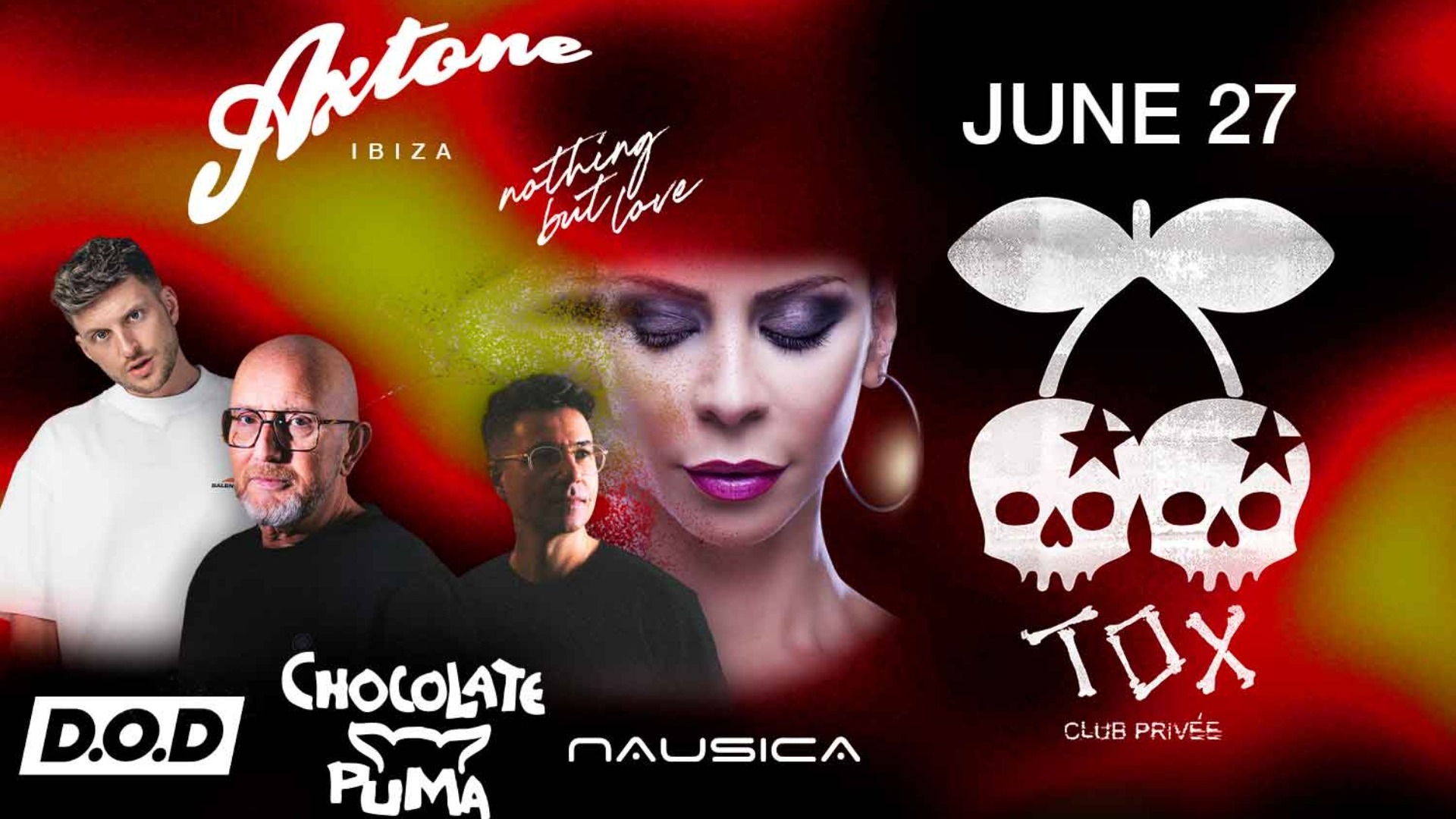 AXTONE Summer Tour - Chocolate Puma image