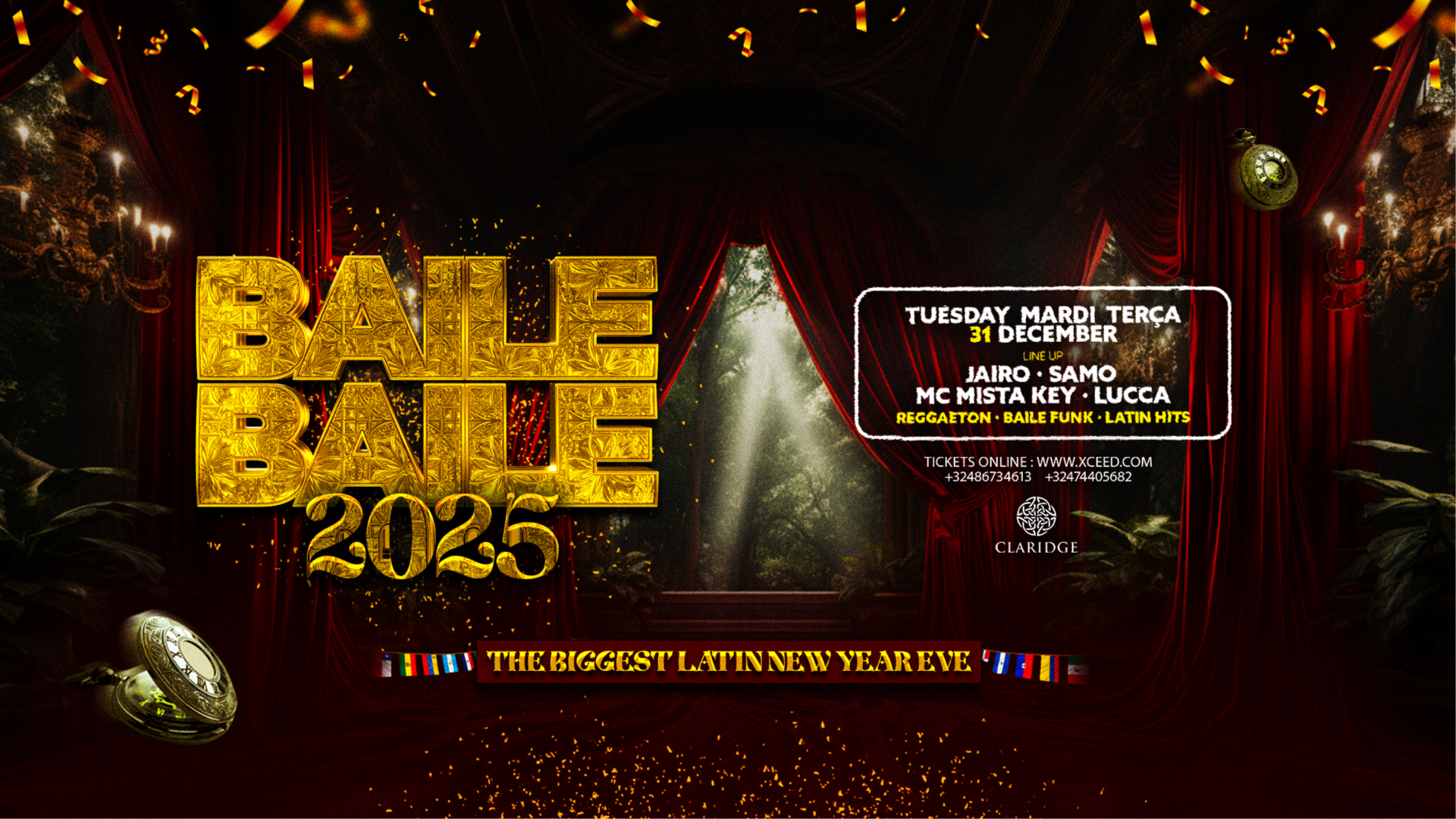 BAILE BAILE NEW YEAR 2025 image
