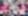 Cover for event: BANANAMIA K-POP DAY