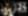 Cover for event: Black Paps