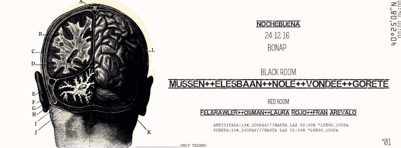 BonAp Nochebuena image