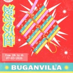 Buganvilla - Explosive House image