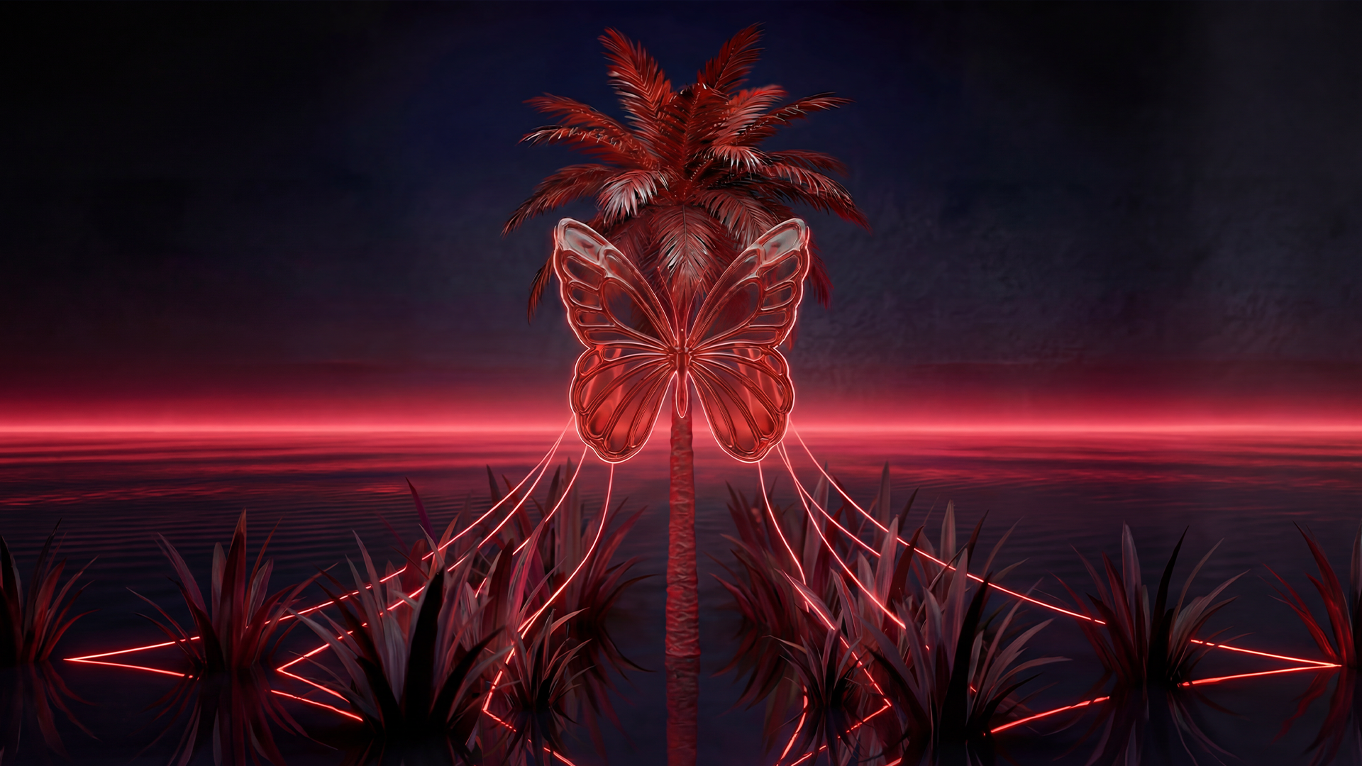 Butterflies Season Opening @CSA image