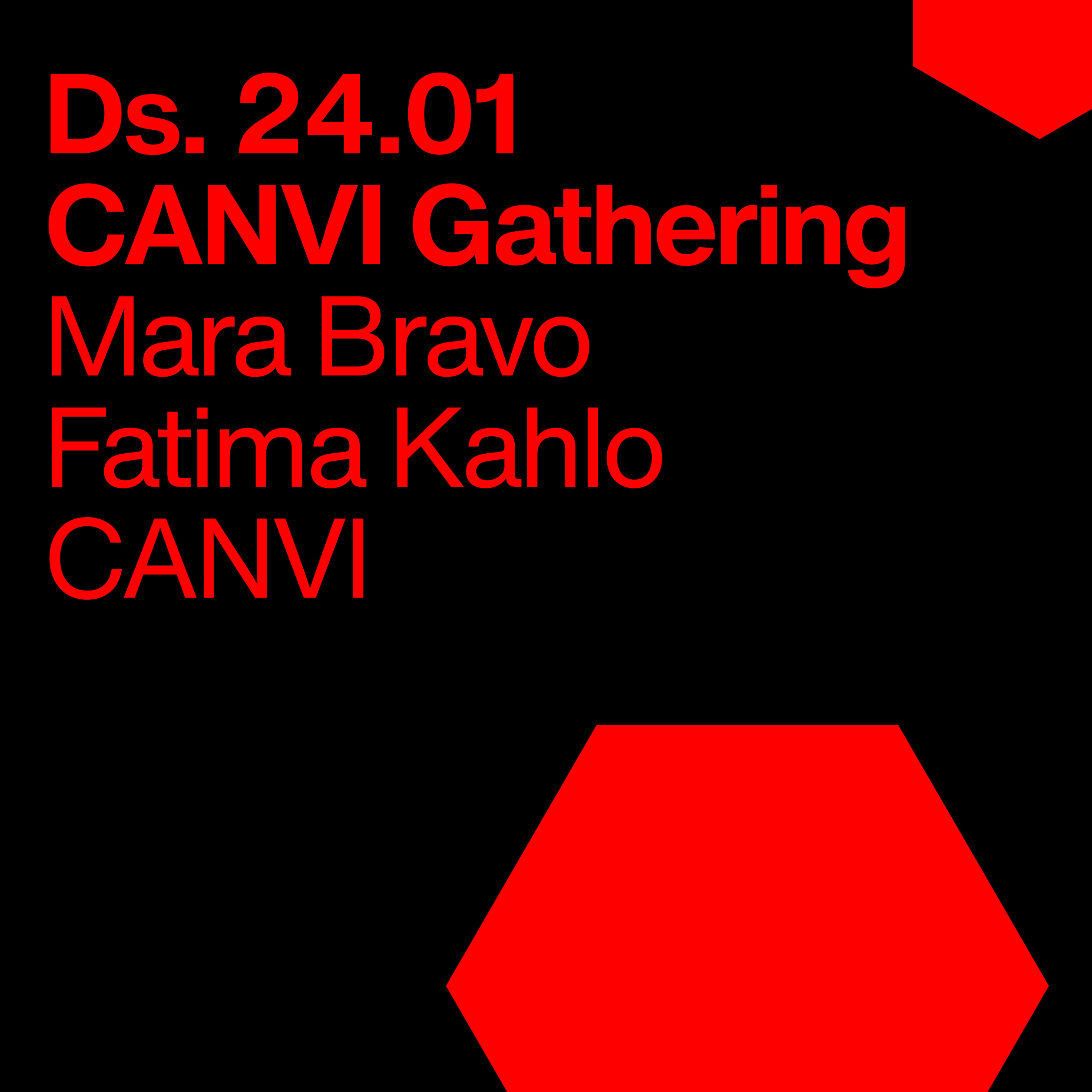 CANVI GATHERING image