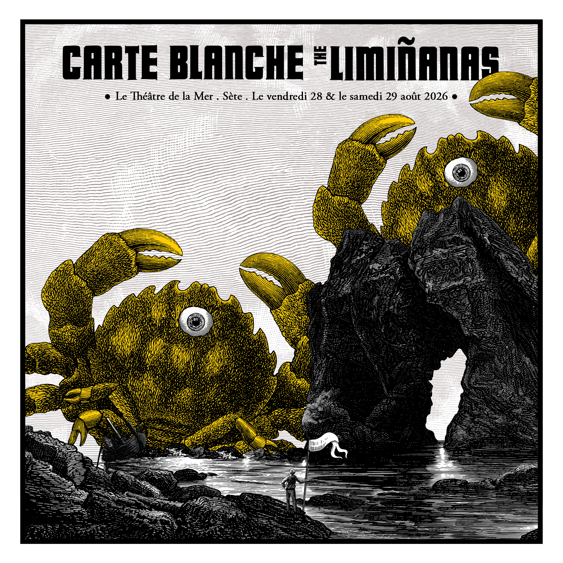Carte Blanche 2026 : The Limiñanas  image