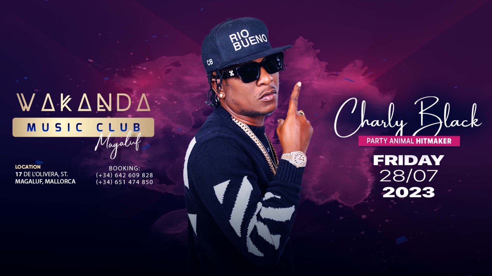 Charly Black, Live Show (Party Animal) image