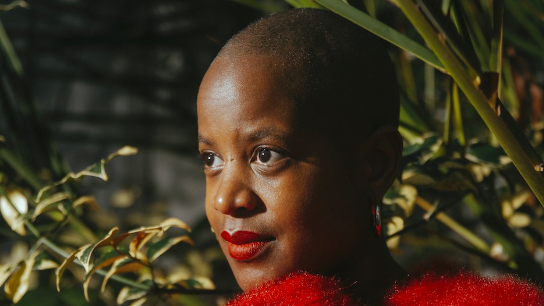 Chima Isaaro, Hélio & Veludo image