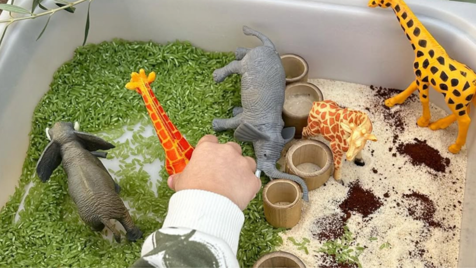 COLISEU AL SOL - KIDS 