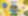Cover for event: CONEXÃO BRASIL #VaoViver 