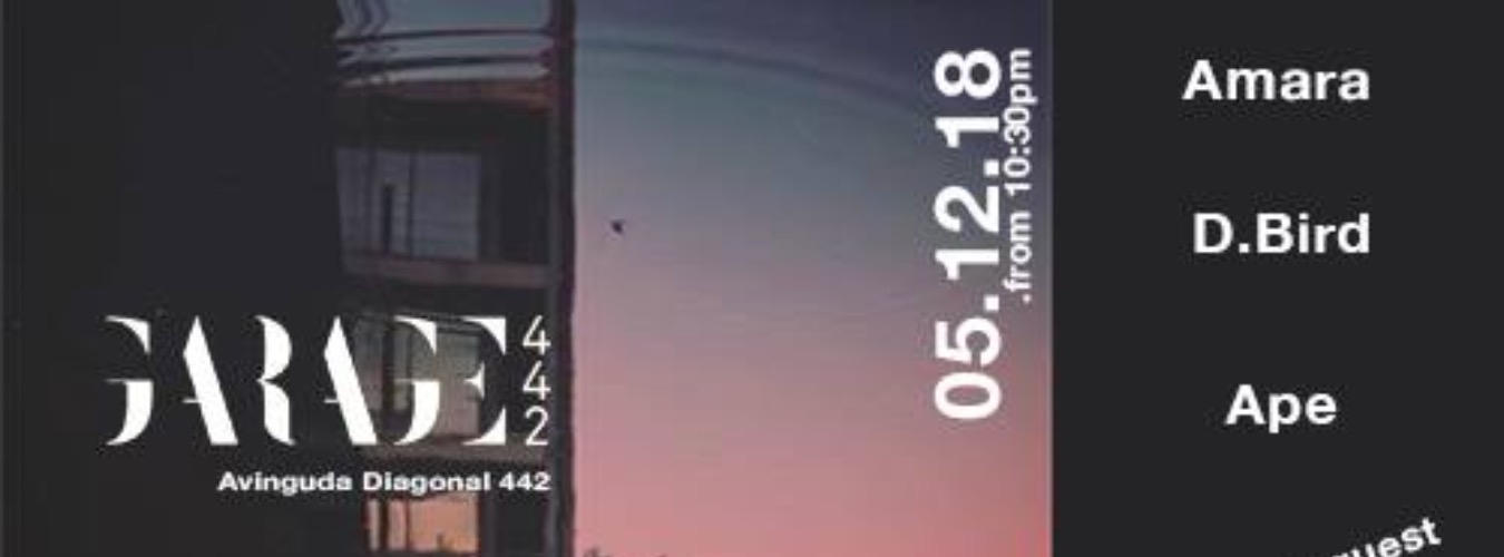 D.BIRD, APE & Amara @ Garage442 image