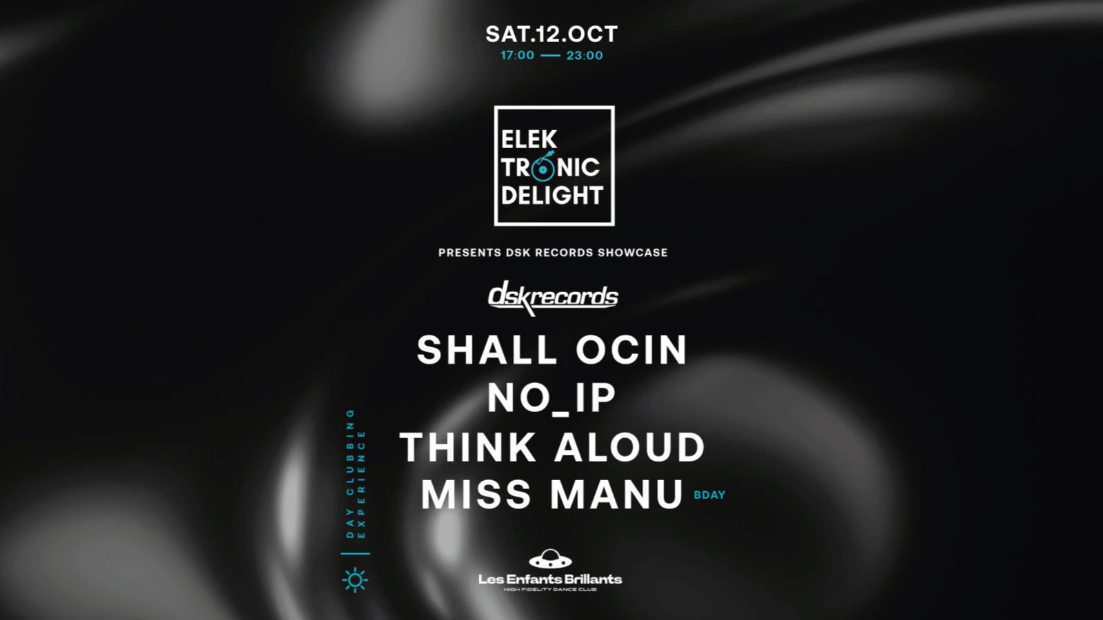 (DAY EVENT) Elektronic Delight presents DSK Records Showcase image