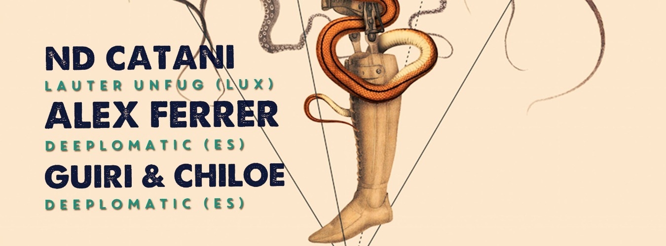 Deeplomatic Rooftop Party image