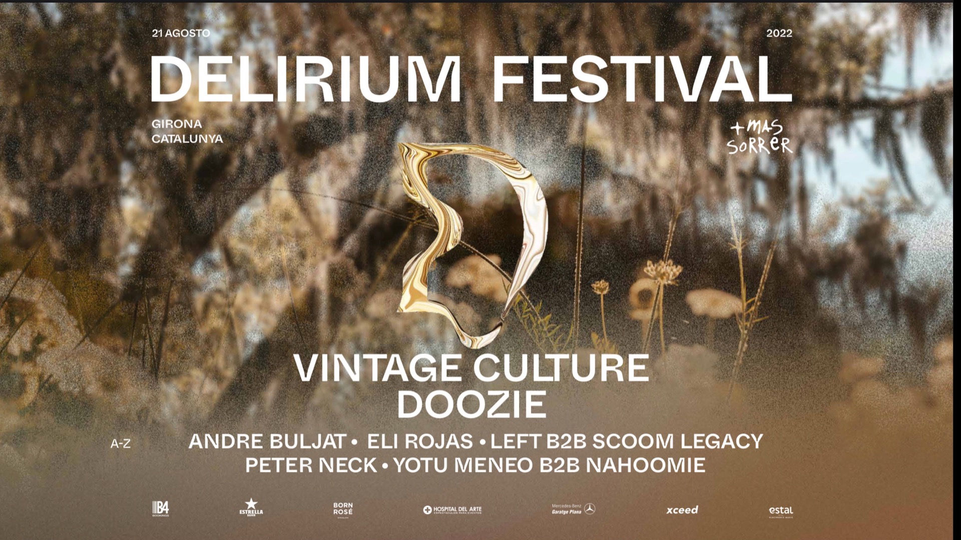 Delirium presenta Vintage Culture image