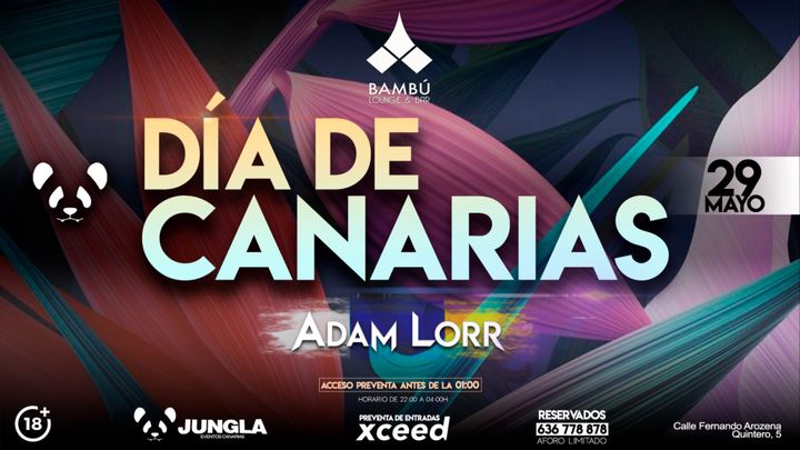 Cover for event: Día de Canarias