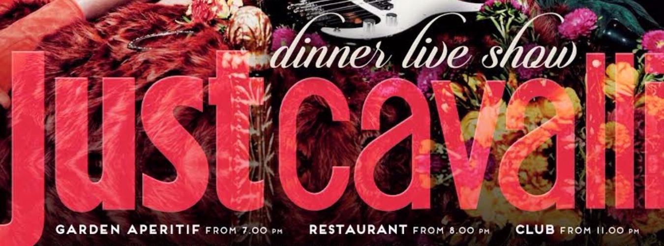 Dinner Live Show - Summer Season image