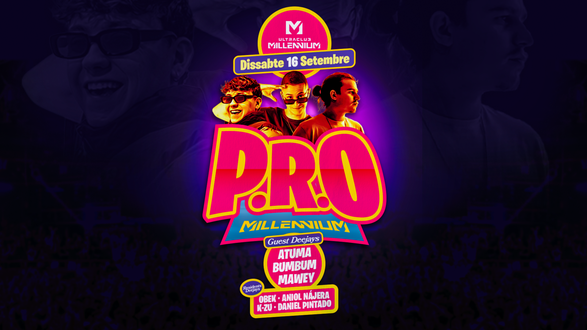 DIS 16 P.R.O. MILLENNIUM image