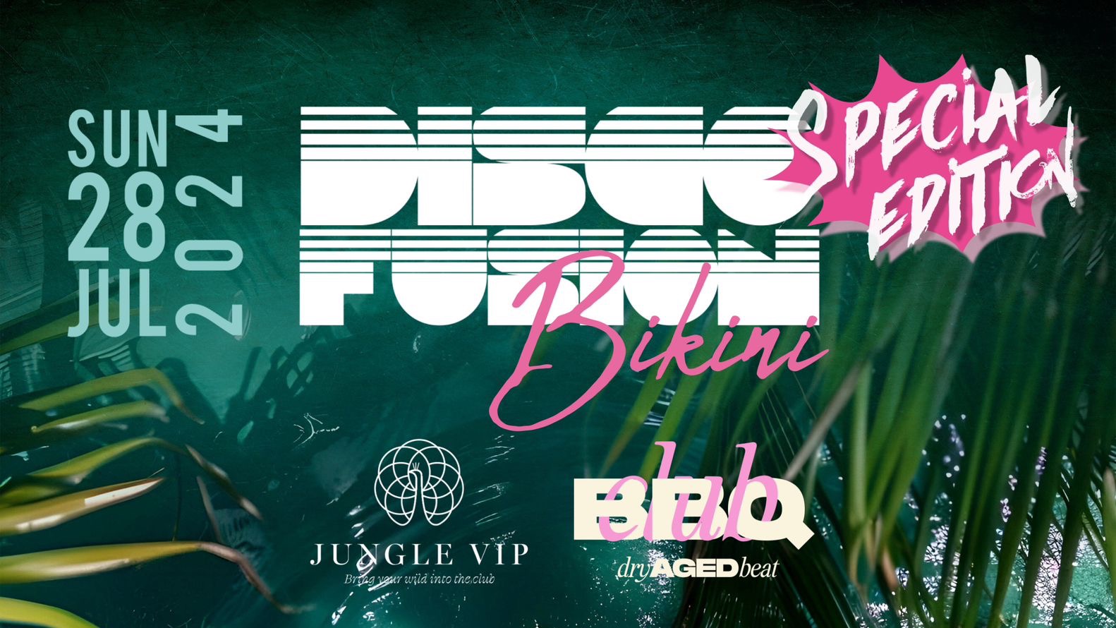 DISCO FUSION Bikini image