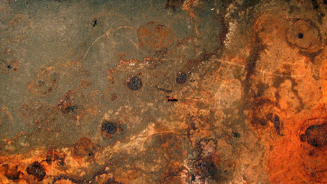 DISTURB & TUTTY FRUTTY Xmas 10h Rave