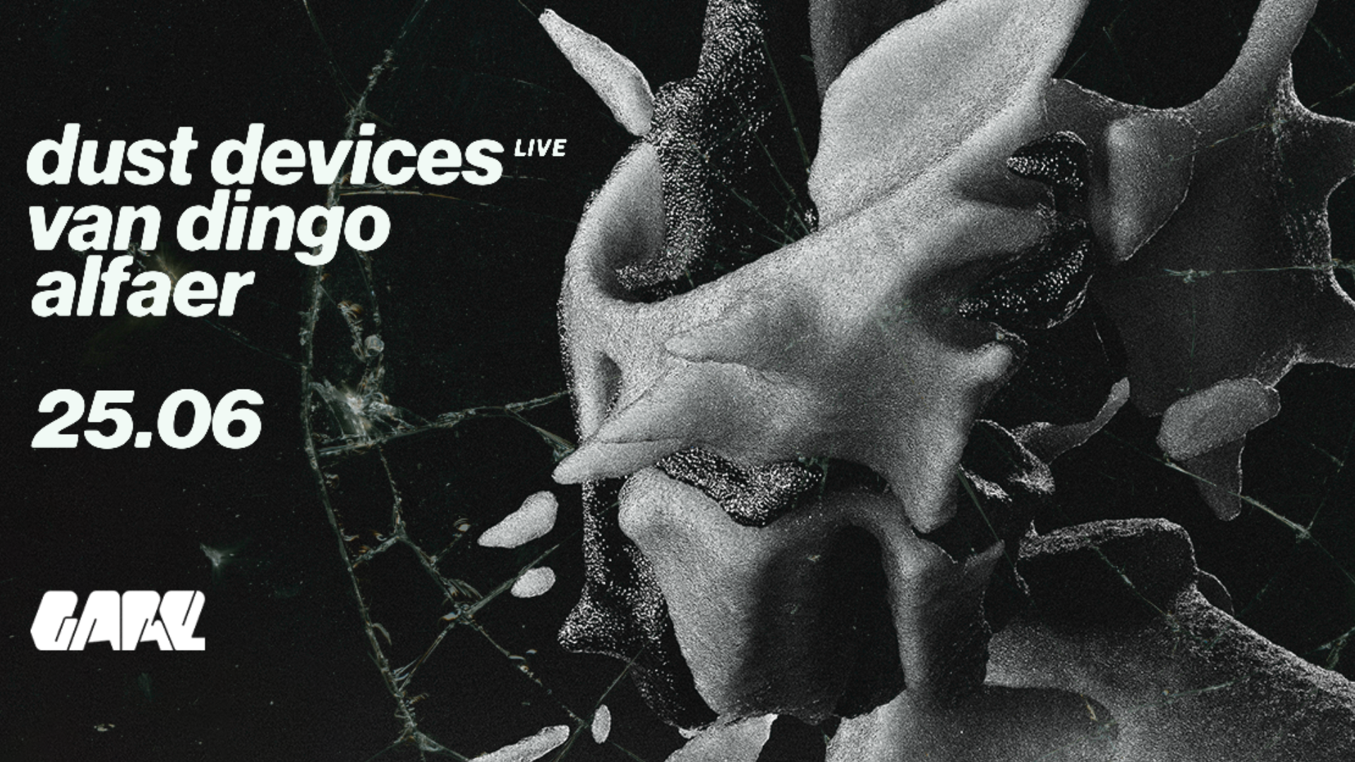 Dust Devices live + Van Dingo + AlFaer image