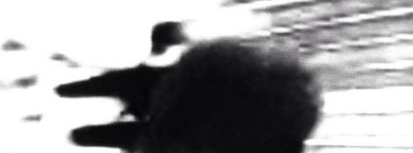 Dvst Pres. Vrika (Live) + J.C