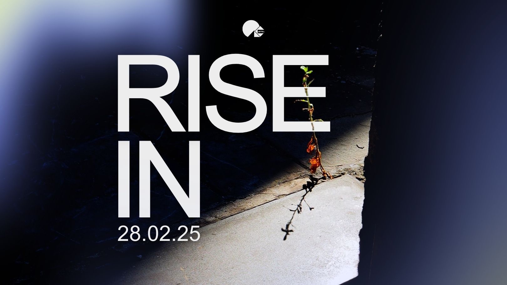 El Cartel Rise In image