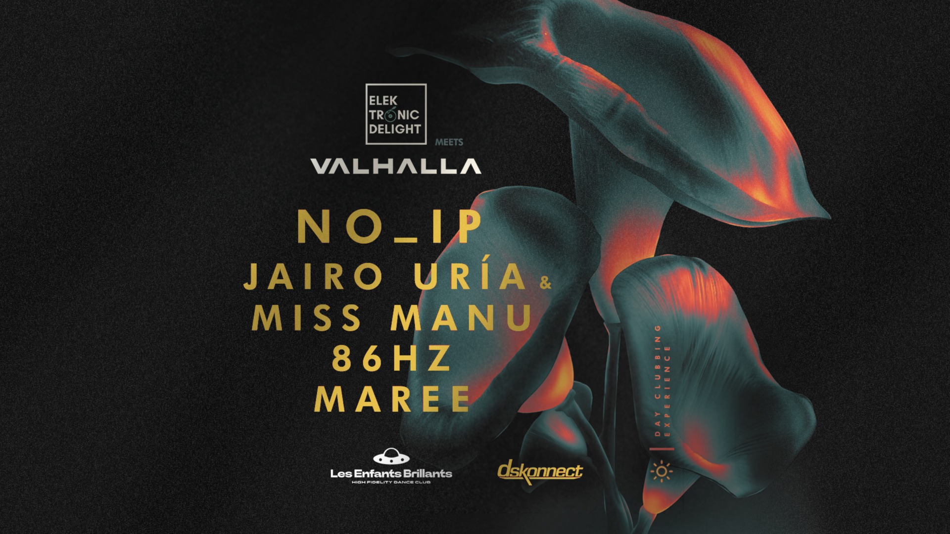 Elektronic Delight & Valhalla w/ NO_IP (Day Event)