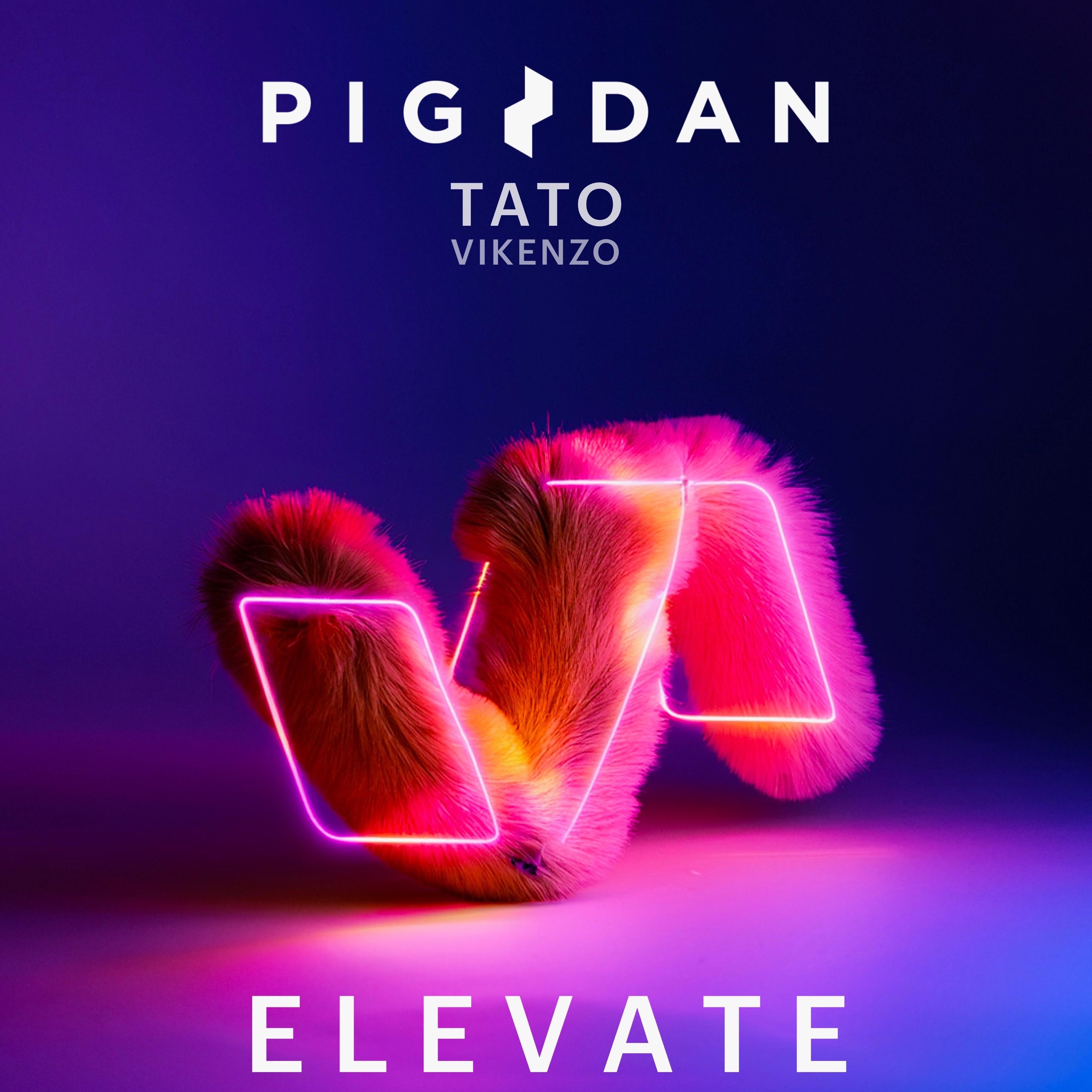 ELÉVATE W/ PIG&DAN + TATO + VIKENZO  image
