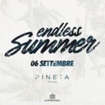 Endless Summer image