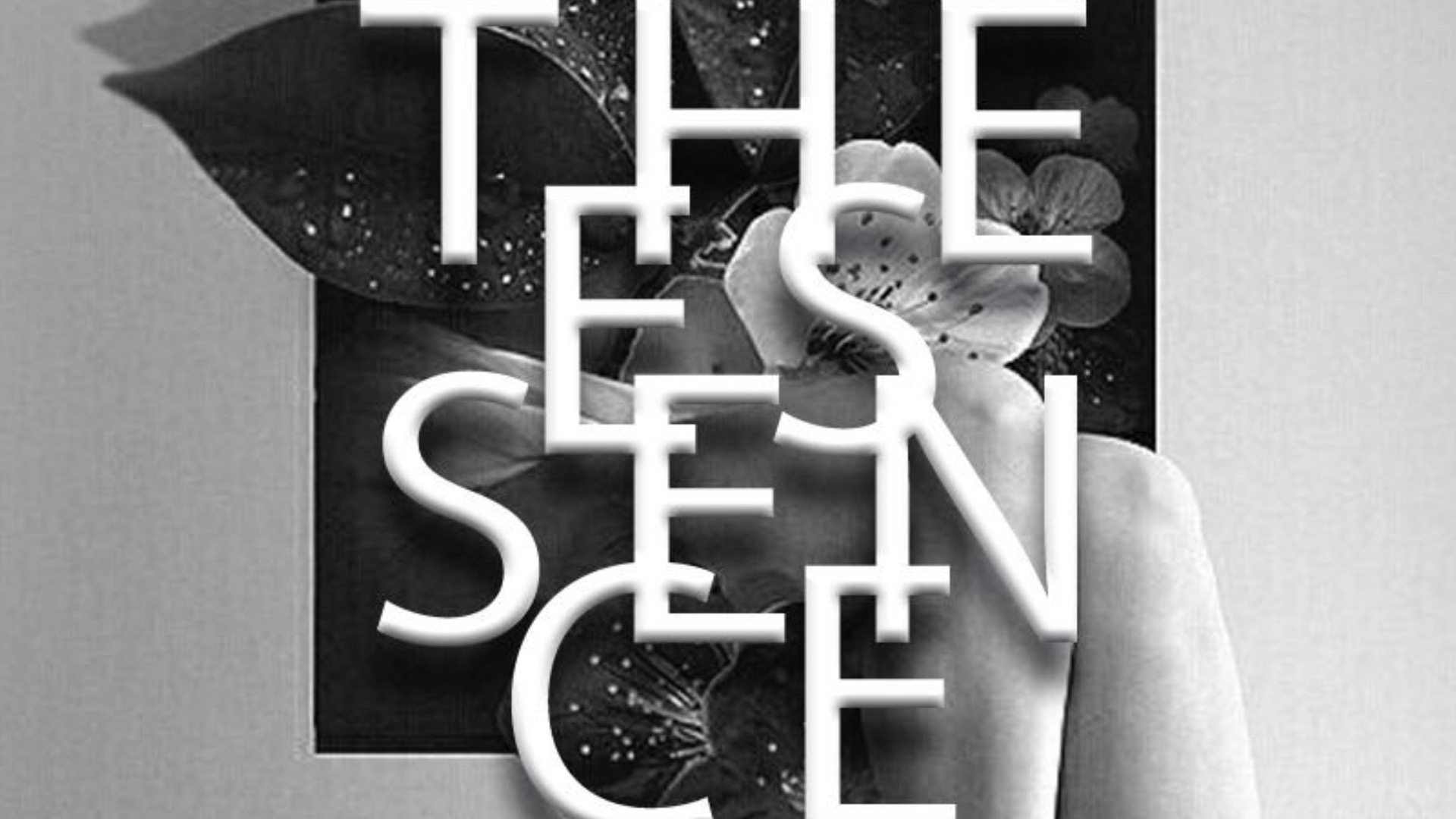 ENTRADAS - VIERNES 21 OCTUBRE