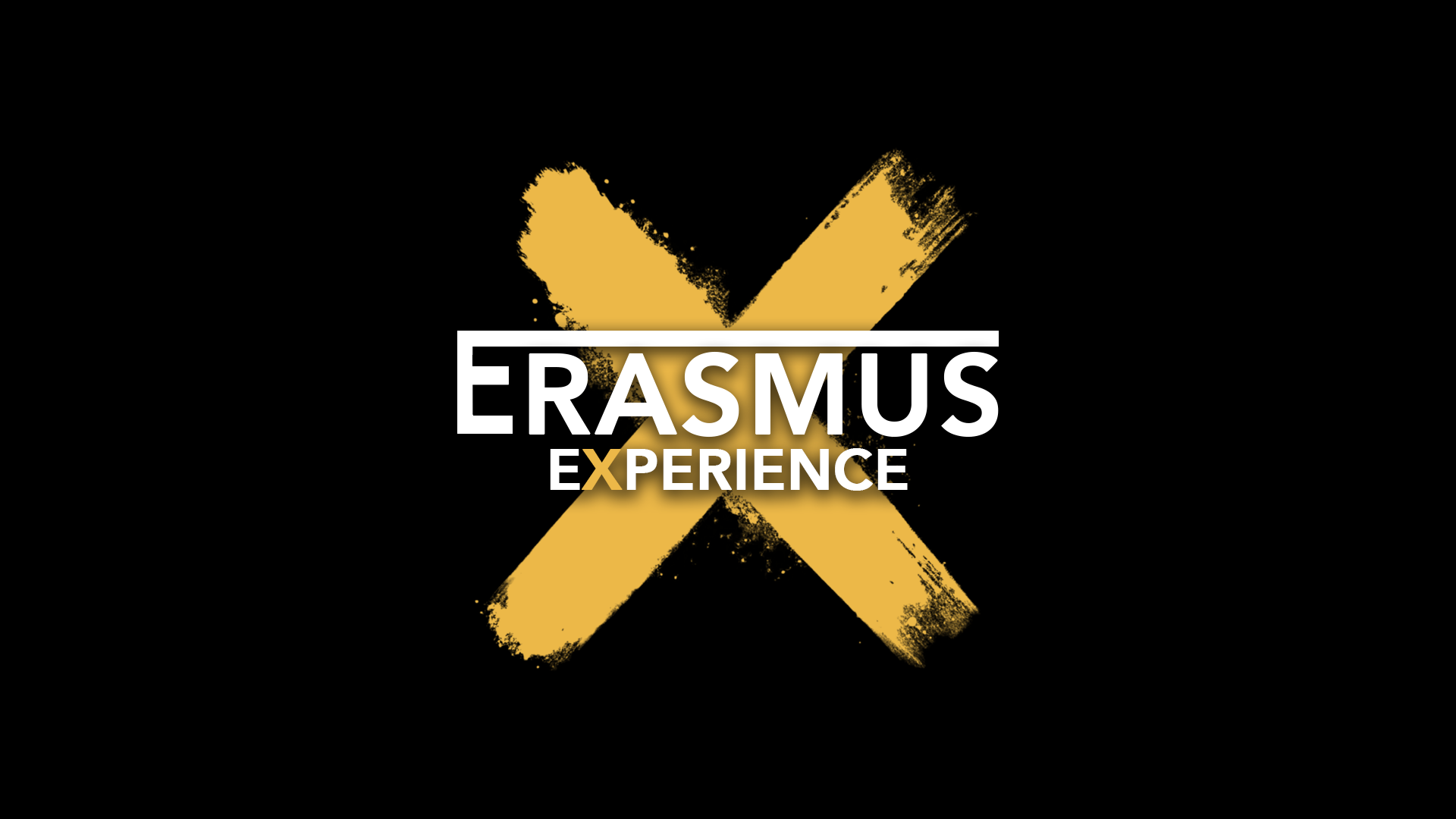 ERASMUS | REAL LIFE TINDER