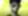 Cover for event: esColiseu presenta: BEJO 