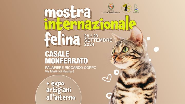 Cover for event: Esposizione Internazionale Felina — Casale Monferrato (AL)