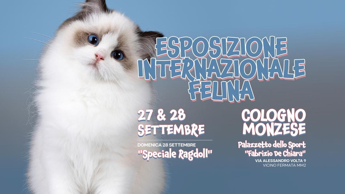 Esposizione Internazionale Felina — COLOGNO MONZESE (Sabato e Domenica)